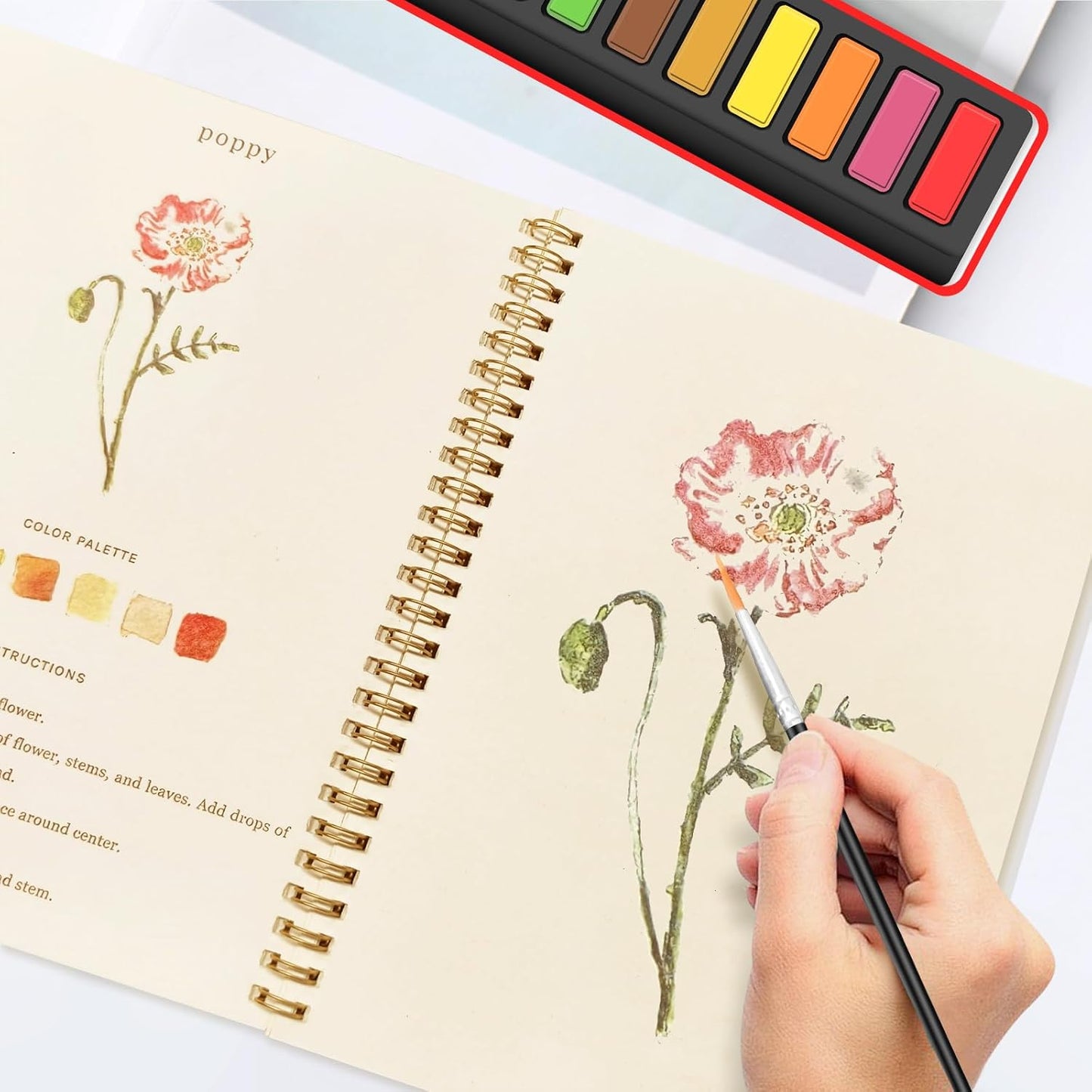 Mindful Watercolor Booklet (Buy 1 Get 1 Free)