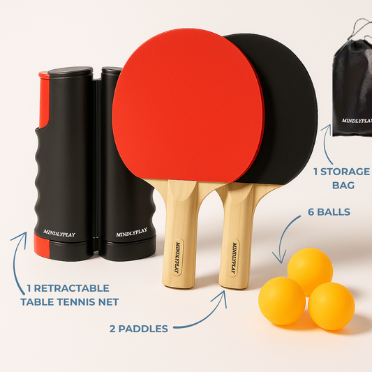 NetFlex Table Tennis Set