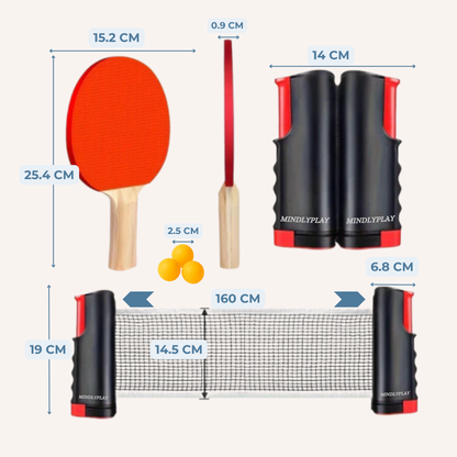 NetFlex Table Tennis Set
